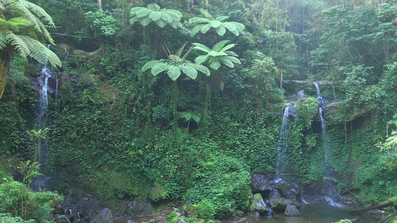 Scenic view of drone flying trough peaceful rainforest landscape with fresh cascading waterfall in the middle of vibrant tropical greenery