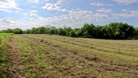 vista panorámica del campo de alfalfa con un tractor verde tirando de un rastrillo de heno a través de la alfalfa cortada y seca para hacer hileras en preparación para empacar heno