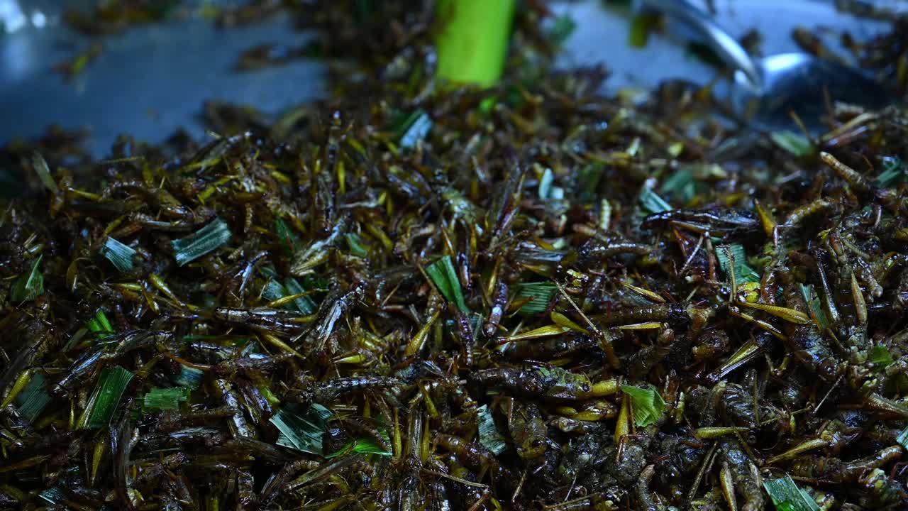 saltamontes fritos, takaten tod, comida callejera en tailandia