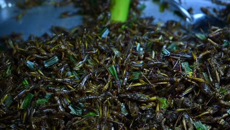 fried grasshoppers, takaten tod, street food in thailand