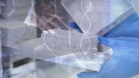 animation of dna strand and data processing over caucasian scientist in lab