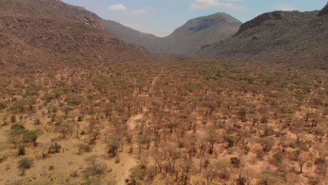 Entrance-to-a-Samburu-village-near-sacred-Mount-Ololokwe,-Kenya