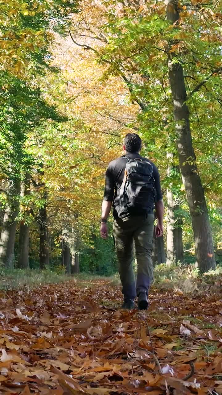 Man walking in the autumn forest with a backpack
