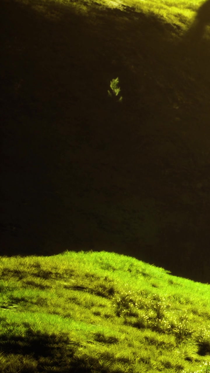 Colline verdi e vivaci risplendono sotto la luce dorata del sole in un paesaggio sereno.