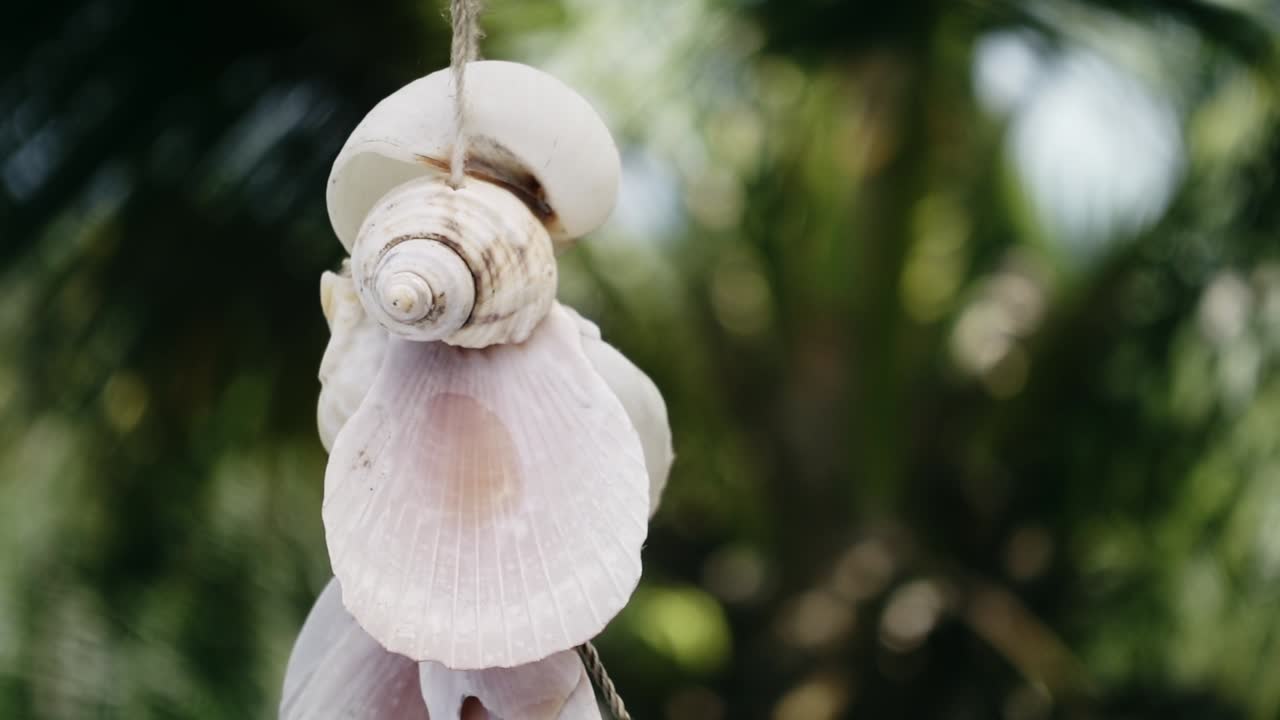 tropical clam shell chain decoration hanging with nice green bokeh