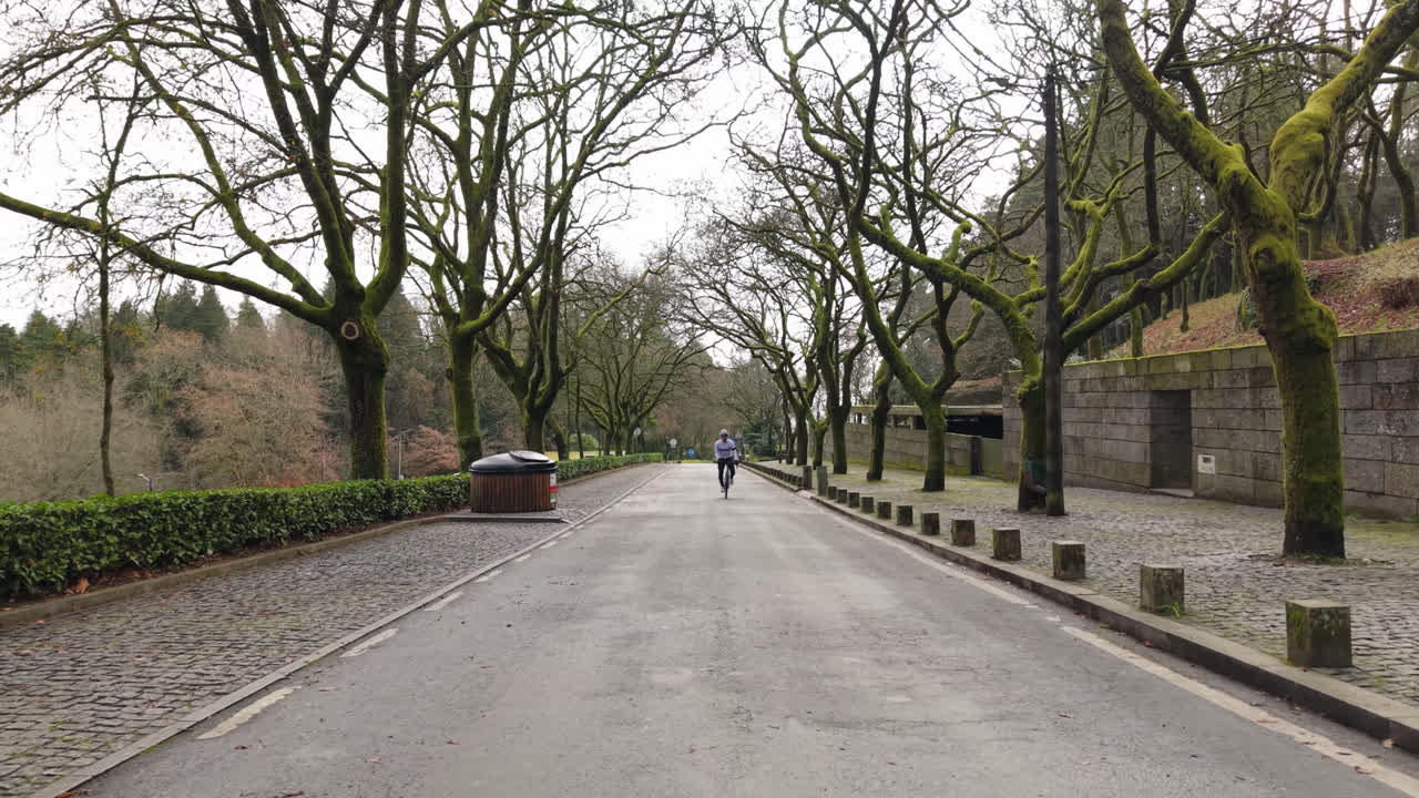 Cycliste longeant une route déserte bordée d'arbres dénudés dans un cadre paisible.