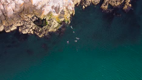 top down shot of people swimming in the sea by the rocks