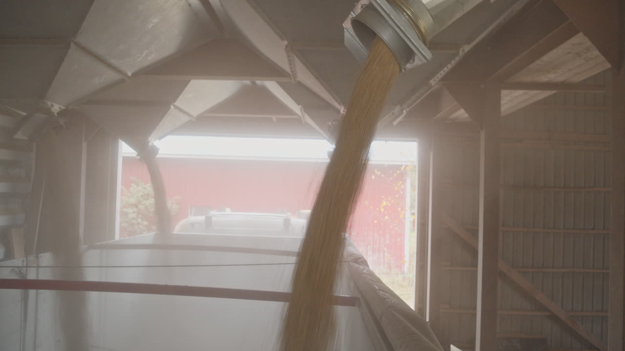 Grano che cade dai silos su un camion al rallentatore