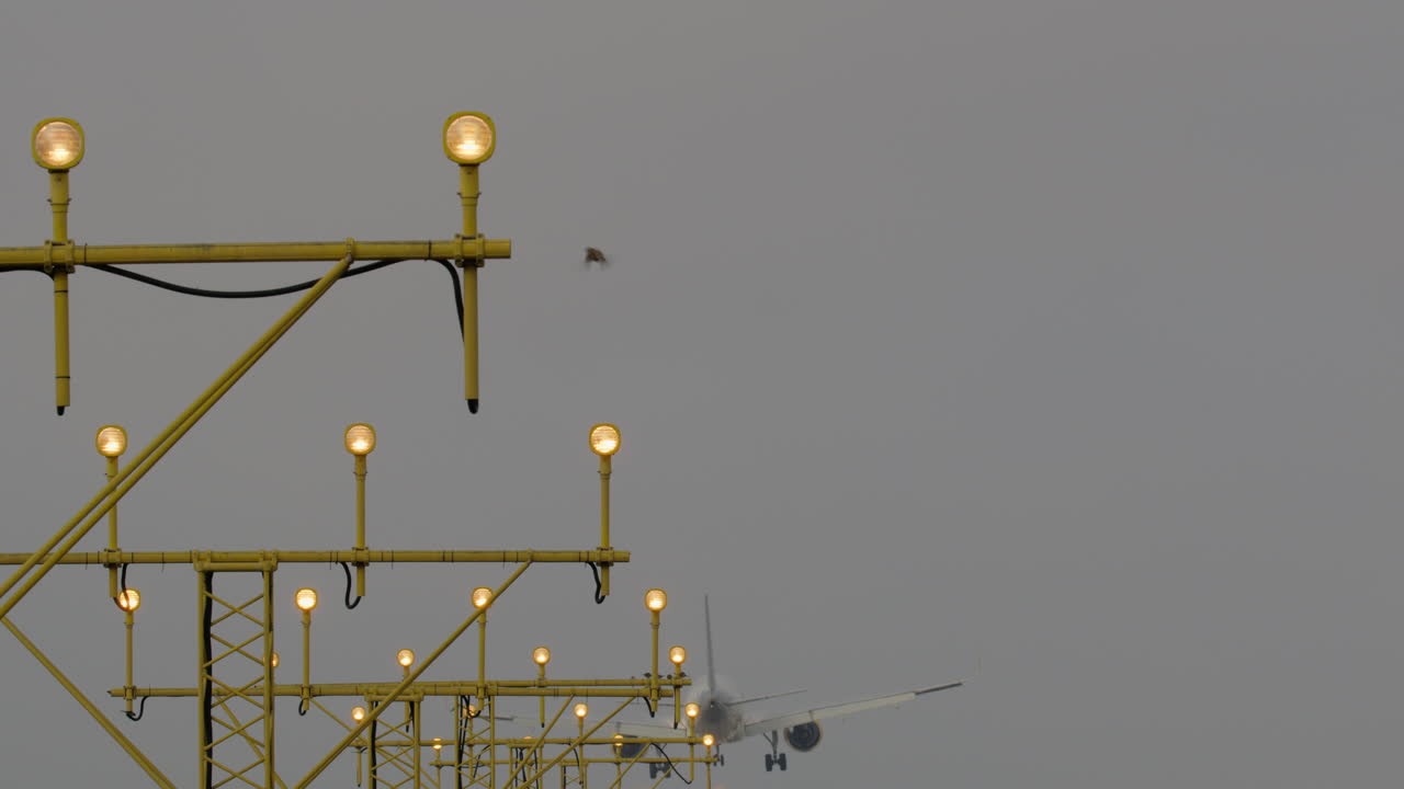 안개 상태에서 비행기가 착륙하는 것