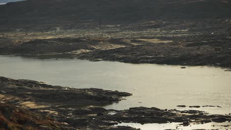 Distant-birds-flying-over-a-tundra-landscape