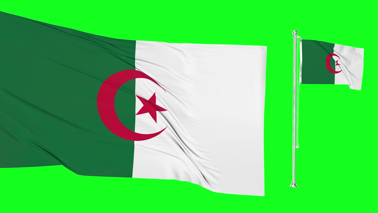 초록색 화면 알제리 두 개의 발을 흔들고 알제리 발 기둥은 매우 상세한 직물 질감 애니메이션 4k 크로마 키로 날아갑니다.