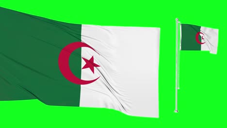 green screen algeria two flags waving algerian flagpole fluttering with highly detailed fabric texture animation 4k chroma key
