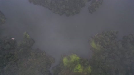 vista aérea cinematográfica del bosque brumoso en las selvas centroamericanas, honduras