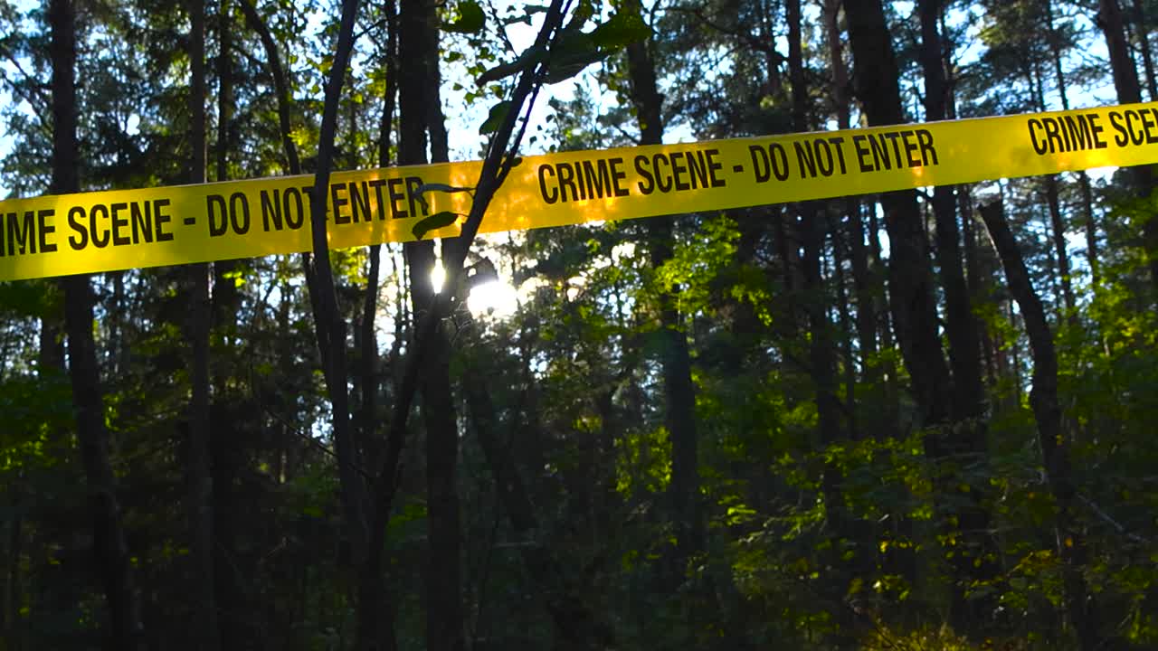 Low angle view of a yellow colored police forensic investigation crime scene tape pulled in front of a sunyn and green leafy thick forest area with sunlight backlighting the tape. Blue sky visible