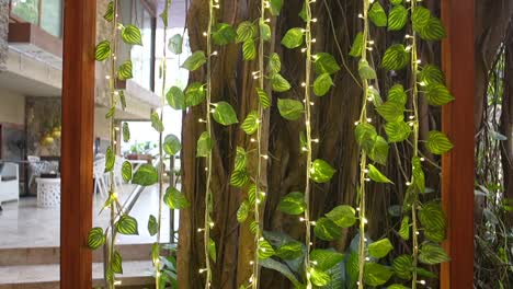 beautifully decoration with money plant in front of restaurent