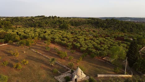 Luftpanorama-Landschaftsblick-über-Einzigartige-Traditionelle-Trulli-Steingebäude-In-Italien