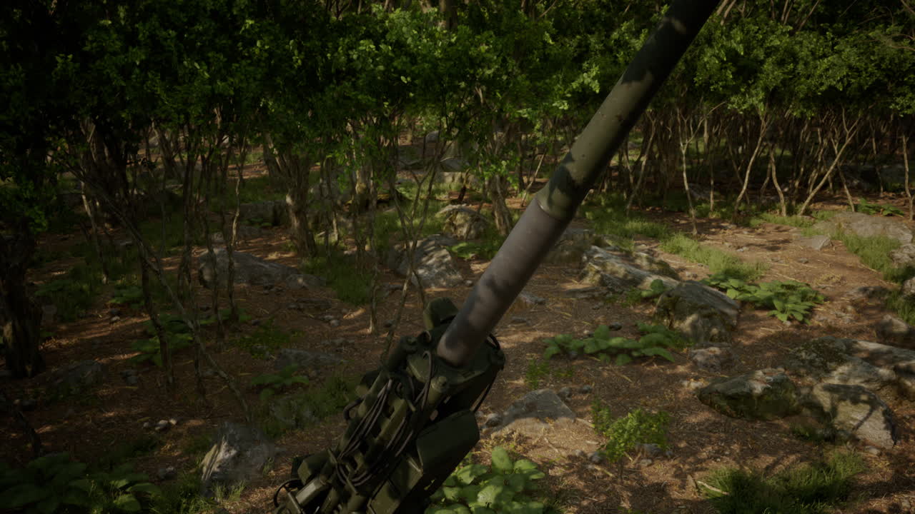 un grosso cannone nella foresta