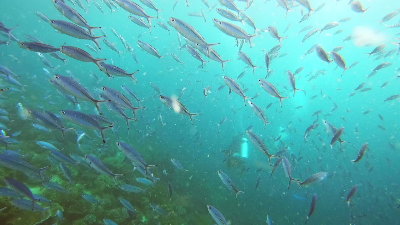 We're surrounded by nothing but beauty here