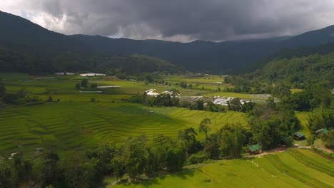 vista aérea de los arrozales y las colinas verdes