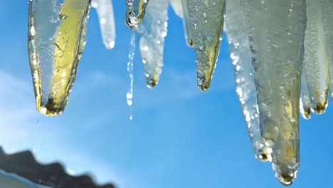 los hielos derretidos gotean agua bajo un cielo invernal soleado, mostrando la transición del frío al calor en la naturaleza.