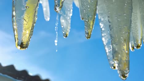 melting icicles drip water under a sunny winter sky, showcasing the transition from cold to warmth in nature