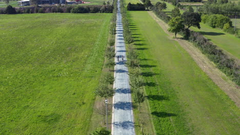 Couple-cycling-side-by-side-on-straight-countryside-tree-alley-road