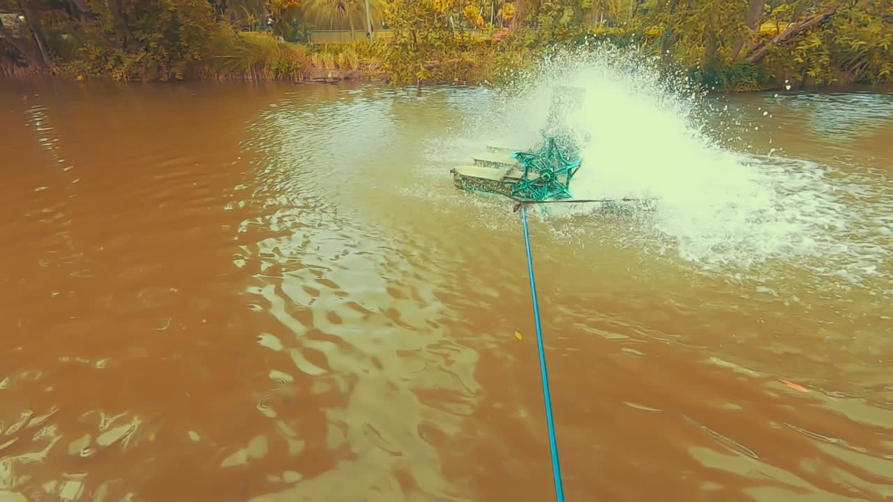 Looking at the lake