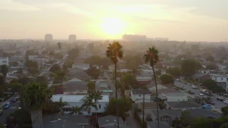 AERIAL:-Flight-over-two-palm-trees-in-Sunlight-,-Sunset-in-Venice,-California,