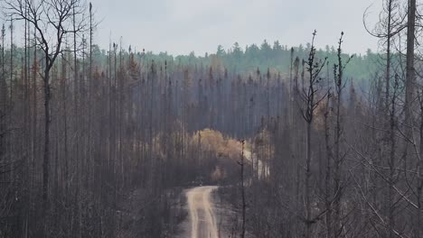 Vista-Aérea-De-Los-árboles-Del-Bosque-Carbonizados-Después-Del-Incendio-Forestal-Del-Lago-Kirkland-Klk005-Con-Partículas-En-El-Aire