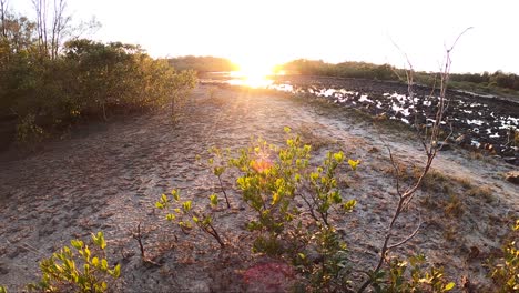 Mirando-Hacia-Un-Hermoso-Amanecer-Sobre-El-Suelo-Fangoso-Cerca-De-Un-Río