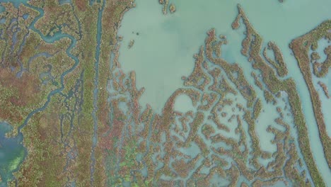 the valli di comacchio lagoon drone top down view, sunny weather