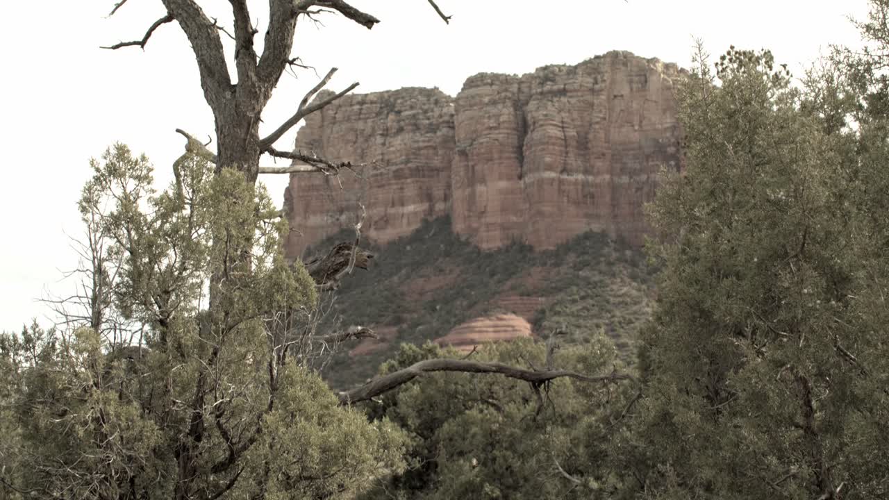 montañas de roca roja, colinas y árboles en sedona, arizona con video inclinado hacia arriba