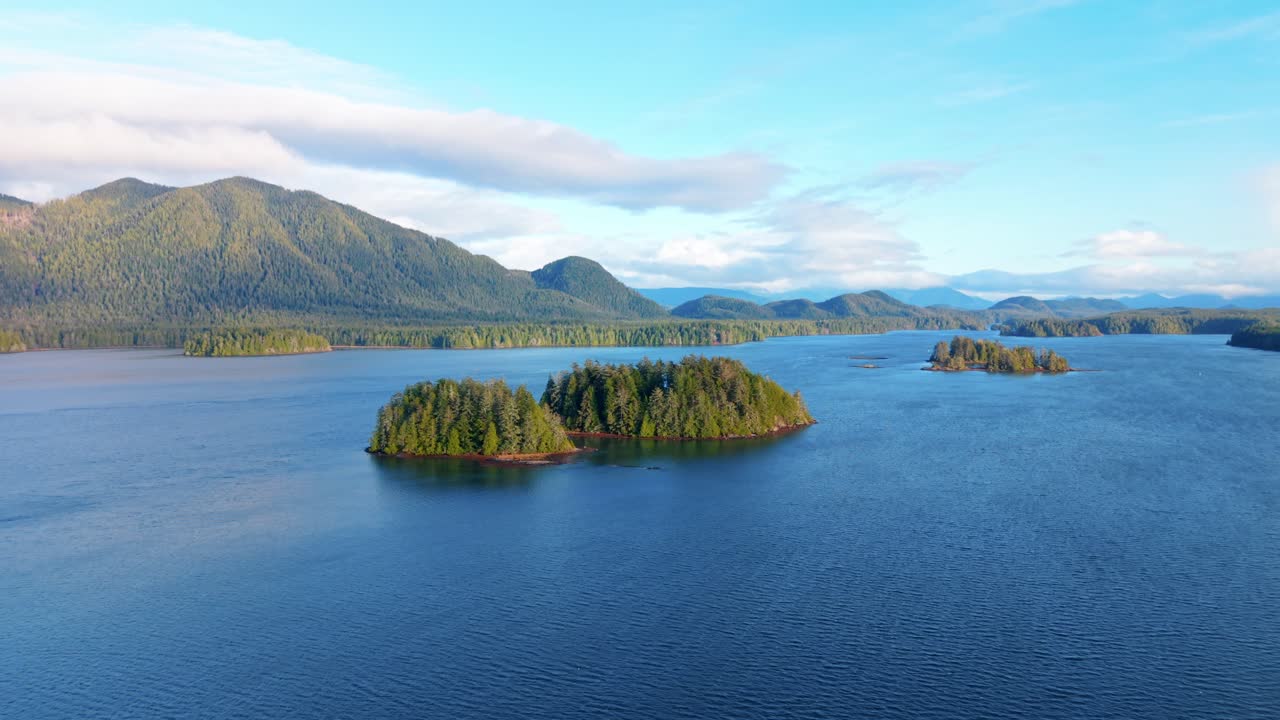 밴쿠버 섬에 있는 토피노의 드론 촬영은 가을의 색, 거친 해안선, 그리고 바다의 파도를 풍경적인 공중 전망으로 보여줍니다.