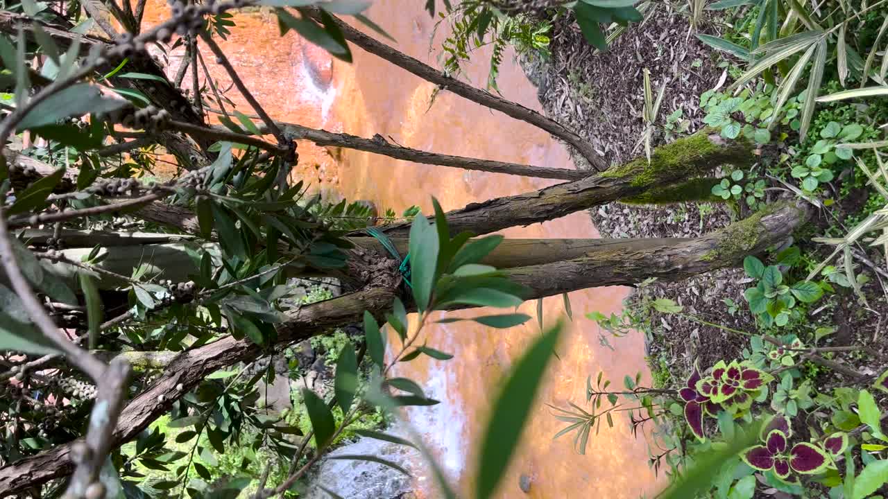 아조레스 제도 산 미구엘 (são miguel) 의 화려한 푸르나스 지역에 자리 잡은 푸사 다 도나 베야 (poca da dona beija) 에서 폭포로 흐르는 물은 푸른 초록색 가운데 자연의 아름다움을 포착합니다.