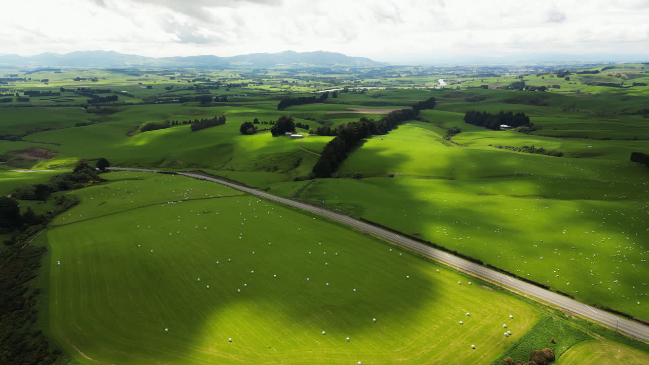 Gore area, agriculture fields of new zealand with fodder rolls, aerial view