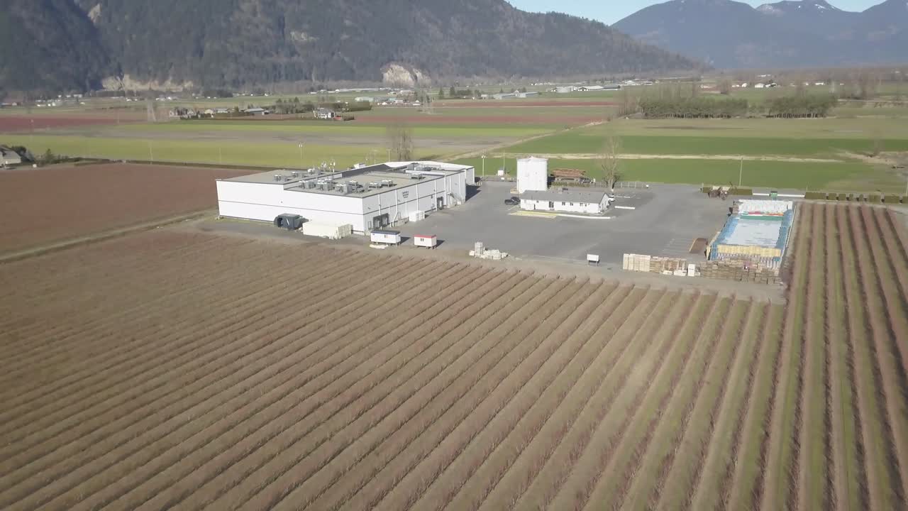 toma de dron 4k de la granja de bayas