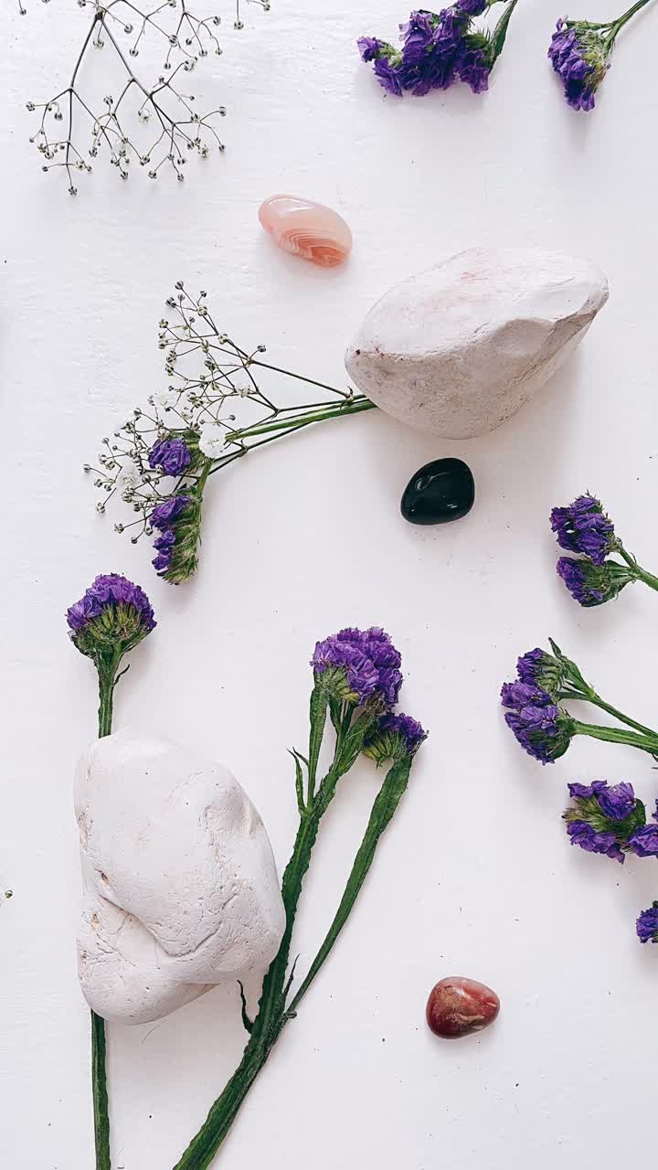 Lilla blomster, sten og krystaller på hvid baggrund