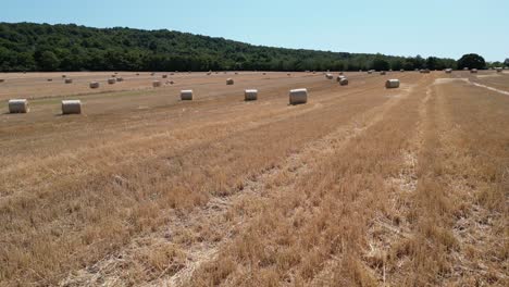 aerial view raked field with hay bales