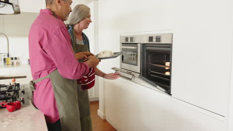 cooking together, multiracial senior couple checking food in oven in modern kitchen, at home