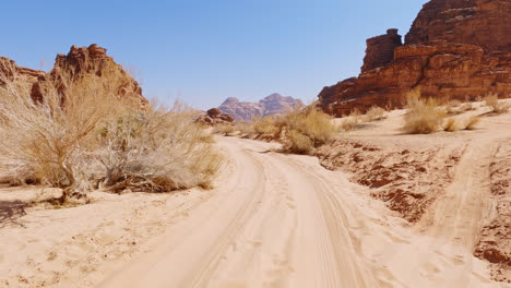 dry desert shrubs line white sandy track of road path in wadi rum