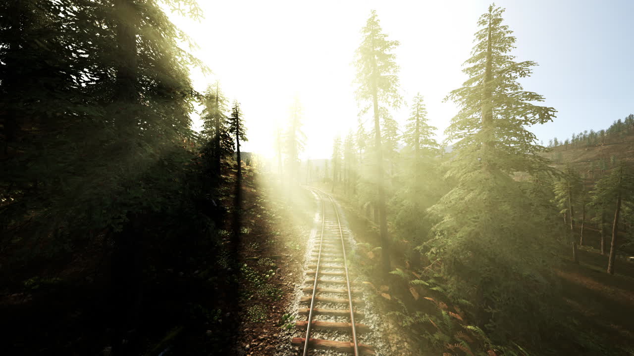 rayos de sol a través de los árboles en una vía ferroviaria