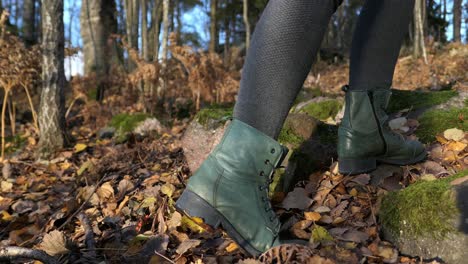 walking in autumn forest close up, fallen leaves on the ground