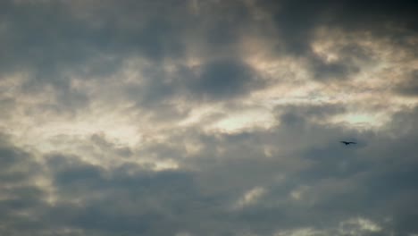 Moody-sunset-clouds-with-bird-silhouette,-static-shot-with-copyspace