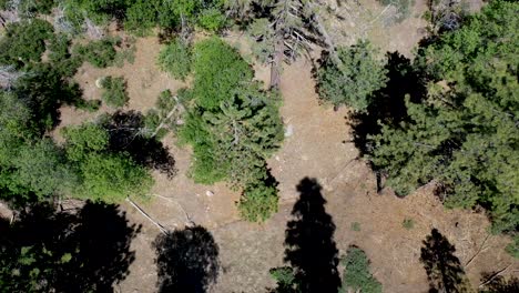 aerial shot near green valley lake in california
