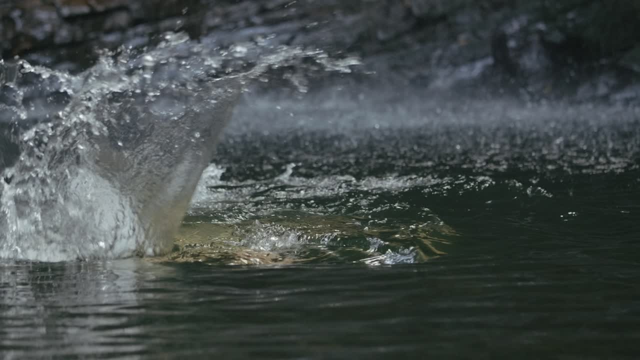 Person Swimming in a Waterfall