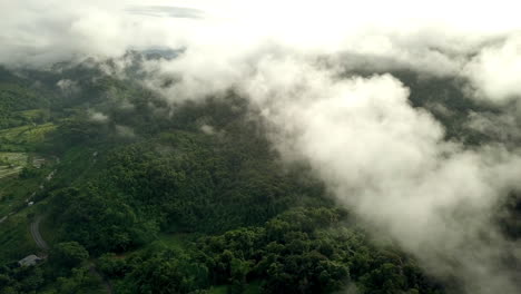un impresionante paisaje aéreo de una montaña de selva tropical verde y exuberante