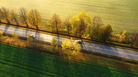 aerial view of road in beautiful autumn forest at sunset in rural. beautiful landscape with rural road and trees with colorful leaves
