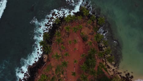 vista aérea de la colina del árbol de coco mirissa olas del océano rompiendo en la costa, tiro estático de arriba hacia abajo