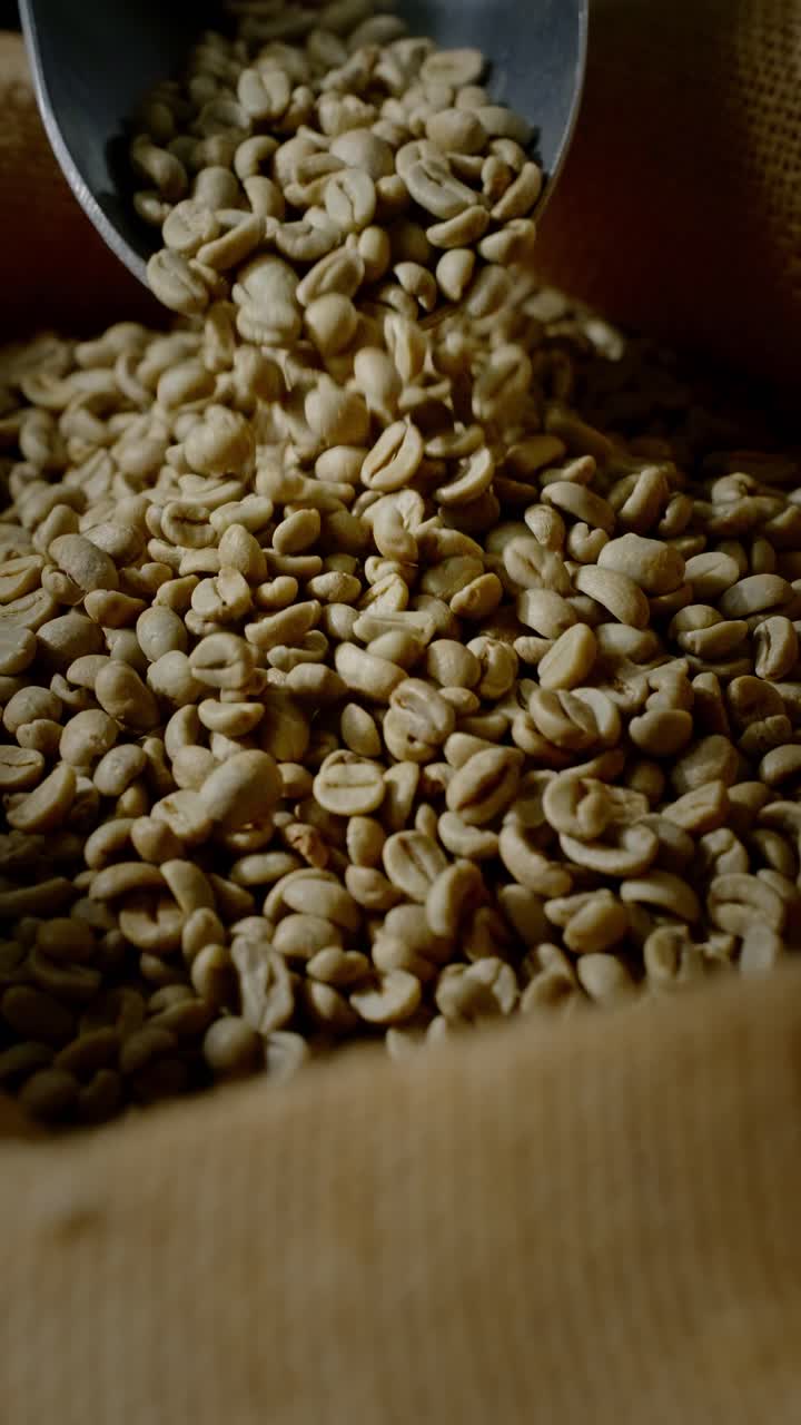 granos de cafe verde