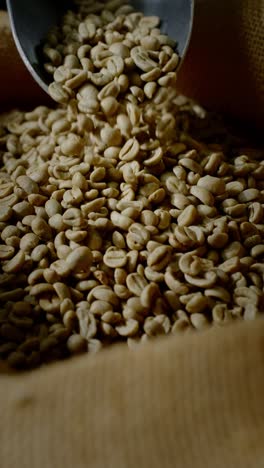 green coffee beans